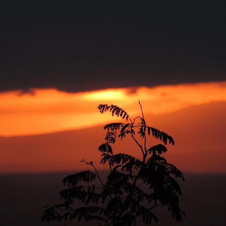 African Sunrise Lodge And Campsite Мто-ва-Мбу Экстерьер фото