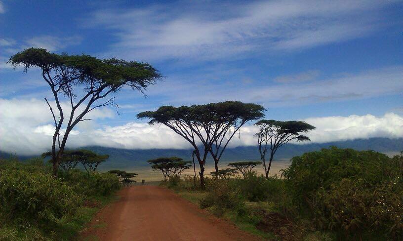 African Sunrise Lodge And Campsite Мто-ва-Мбу Экстерьер фото